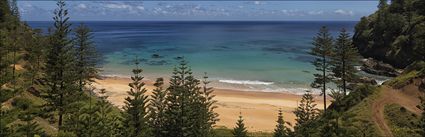 Anson Bay - Norfolk Island - NSW H (PBH4 00 12130)